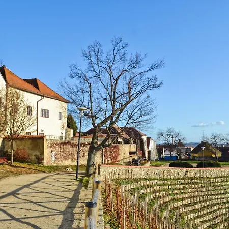 Apartamento 3 In The Historic Part Of